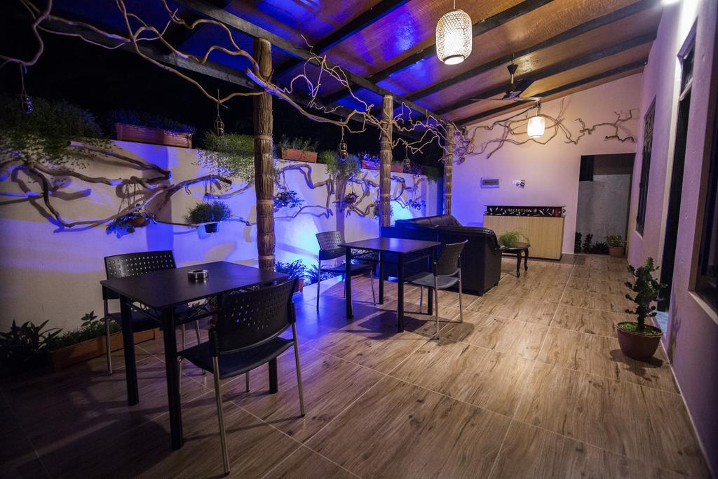 Ari Heaven Thoddoo Maldives Hotell Eksteriør bilde